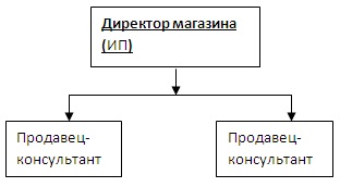 Введення, характеристика роздрібного торгового підприємства - організація торгового процесу магазину