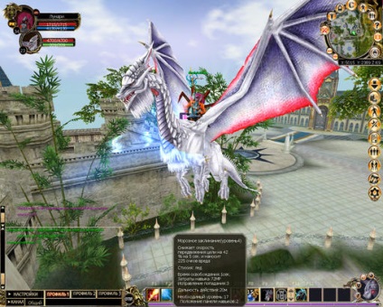 O privire asupra jocului - conducătorii dragonilor - în numele celui care joacă un pic în ea