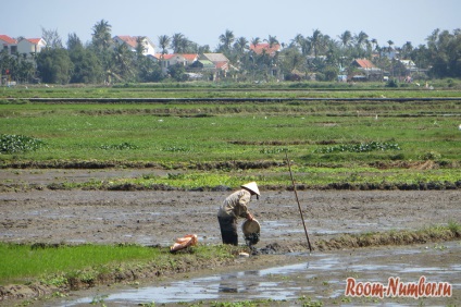 Hoi, Vietnam (helyek) Hoi An, Vietnam