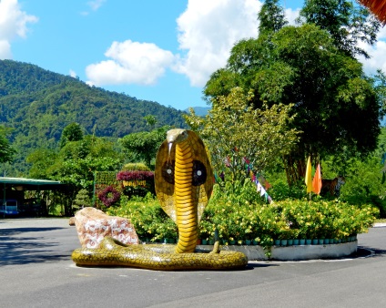 Yang-bai - cascade, un monument pentru pisici și crocodili de hrănire