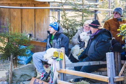 Zakopane - o stațiune de schi în Polonia