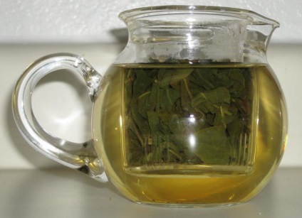 Zöld tea tej Oolong - hasznos tulajdonság és ellenjavallatok