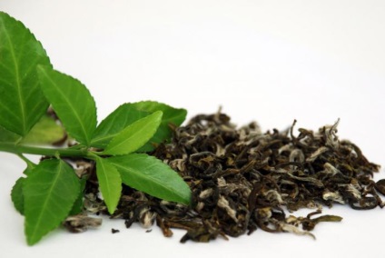 Зелений чай молочний оолонг - корисні властивості і протипоказання