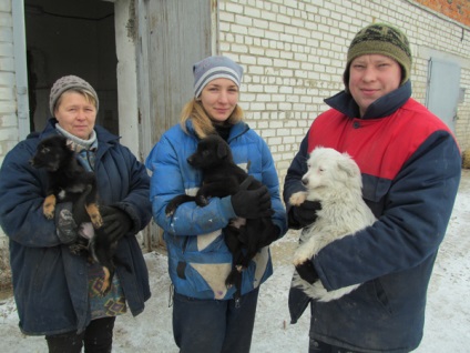 Jurnaliștii au arătat cum trăiesc câinii din adăpostul din sudul Ucrainei, știri Nikolaev