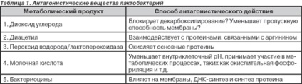 Значення лактобактерій в організмі людини і тактика правильного вибору еубіотика,