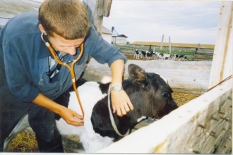 Az állattenyésztés képzés, a szakma és akik