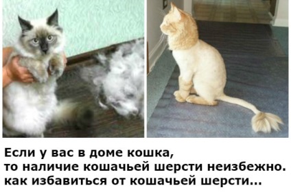 15 hangulatos ágyak, amelyek könnyen összetéveszthető a kiömlött festéket! Kopilochku hasznos (ágy) 15 hangulatos ágyak, amelyek könnyen összetéveszthető a kiömlött festéket! kopilochku hasznos