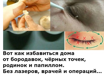 15 hangulatos ágyak, amelyek könnyen összetéveszthető a kiömlött festéket! Kopilochku hasznos (kopilochku) 15 hangulatos ágyak, amelyek könnyen összetéveszthető a kiömlött festéket! kopilochku hasznos