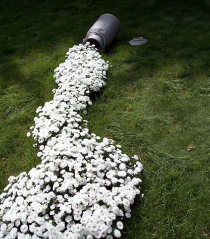 15 paturi de flori fermecătoare, ușor de confundat cu vopsele difuze! Un ban de util