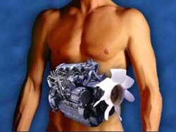 7 modalități de a accelera metabolismul - un stil de viață sănătos - sănătatea - viața bărbaților
