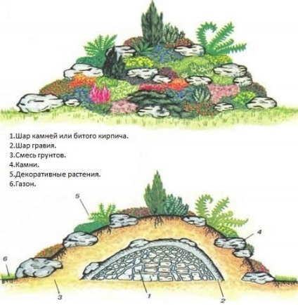 Selecția de alpinariu a unui sit, materiale, o selecție de pietre și plante (fotografie)