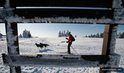 Câini și oameni din Alaska (30 fotografii), relaxați-vă