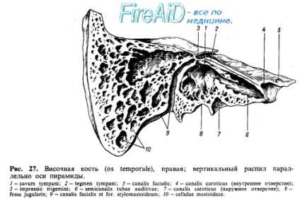 Anatomia osului temporal