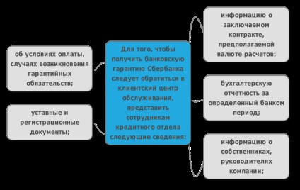 Garanția bancară a băncii oao - Banca de Economii a Rusiei