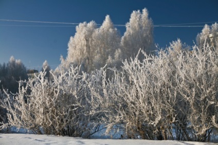 Blogul unui fotograf de nunta din Novosibirsk