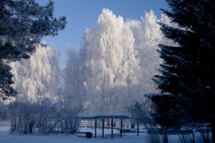 Blogul unui fotograf de nunta din Novosibirsk