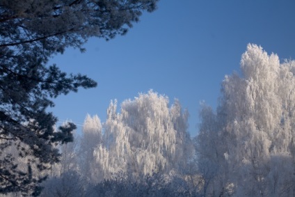 Blogul unui fotograf de nunta din Novosibirsk