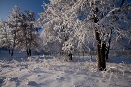 Blogul unui fotograf de nunta din Novosibirsk