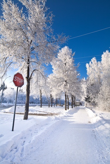 Blogul unui fotograf de nunta din Novosibirsk