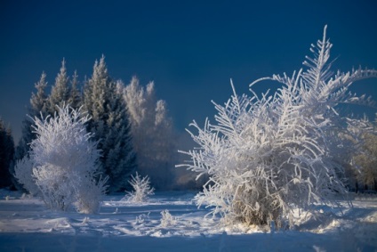 Blogul unui fotograf de nunta din Novosibirsk