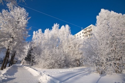 Blogul unui fotograf de nunta din Novosibirsk