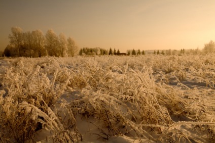 Blogul unui fotograf de nunta din Novosibirsk