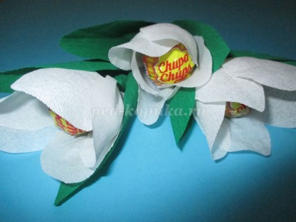 Csokor Candy határú (chupa) Csokor édességek Chupa Chups