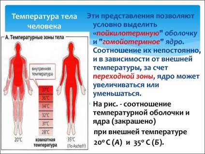 Ce schimbări în temperatura ochiului unei persoane