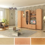 Culoare de lemn pentru mobilier în interior, lookcolor