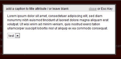 Casete de dialog și ferestre pop-up - o prezentare generală a pluginurilor jquery, javascript