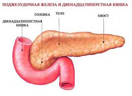 Dieta pentru exacerbarea bolii pancreatice, pancreatitei