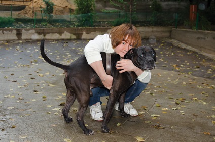 Acasă »câini Sheremetevsky adăpost - zooinform-oraș