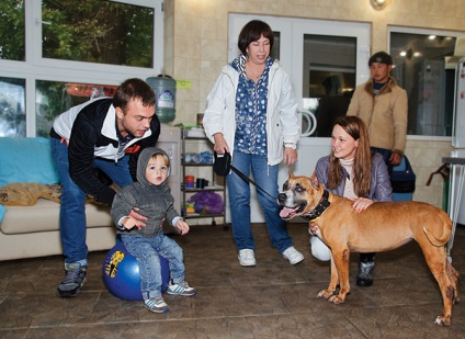 Acasă »câini Sheremetevsky adăpost - zooinform-oraș