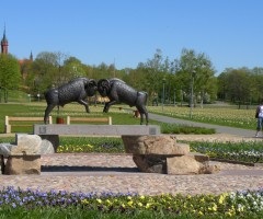 Druskininkai Lituania fotografie aquapark