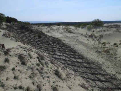 Dune EFA látnivalók, leírás, érdekes tényeket és vélemények