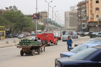 Excursie la Cairo și Piramidele Egiptului, unde să mergeți în vacanță