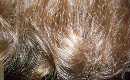 Elixir for Hair orofluido- én nélkülözhetetlen eszköze értékelés (hajápolás) Elixir for Hair orofluido- én nélkülözhetetlen eszköz vélemények