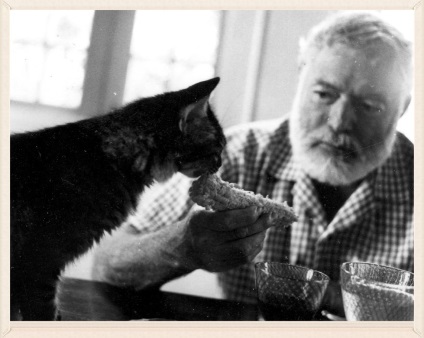 Ernest Hemingway és a macskák