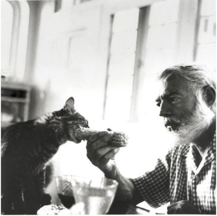 Ernest Hemingway és a macskák