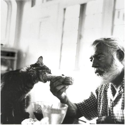 Ernest Hemingway és a macskák (macska és művészek) Ernest Hemingway és a macskák