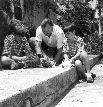 Ernest Hemingway és a macskák (celeb macska) Ernest Hemingway és a macskák