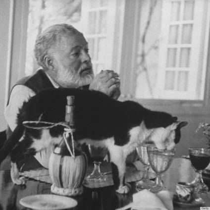 Ernest Hemingway și pisicile lui