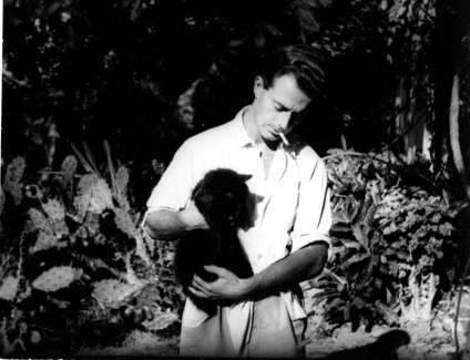 Ernest Hemingway és a macskák (macska) Ernest Hemingway és a macskák