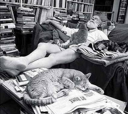 Ernest Hemingway és a macskák (cat és színésznő) Ernest Hemingway és a macskák