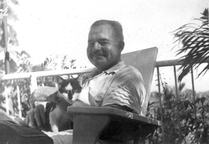 Ernest Hemingway és a macskák (celeb macska) Ernest Hemingway és a macskák
