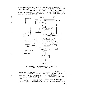 Feinstein Copper-Nickel - Manual de Chimie 21