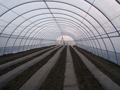 Farm üvegházak saját kezűleg, film, egész évben, fotó, videó