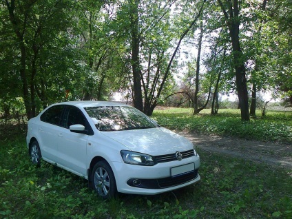 Volkswagen Sharan 2099 g cum să eliminați aragazul