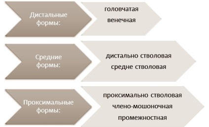 Fotografie înainte și după operația de hipospadias, moscow