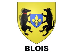 Orașul francez Blois (regiunea centrală)